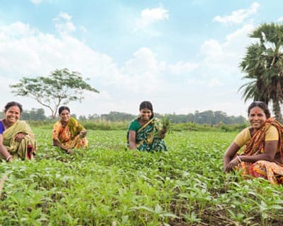 Sribriddhi Loan